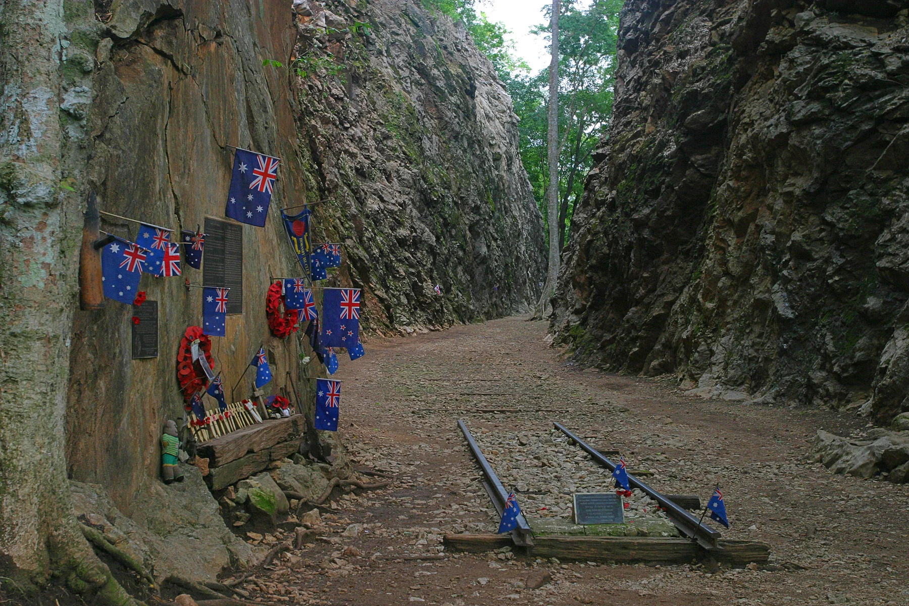 Gallery View